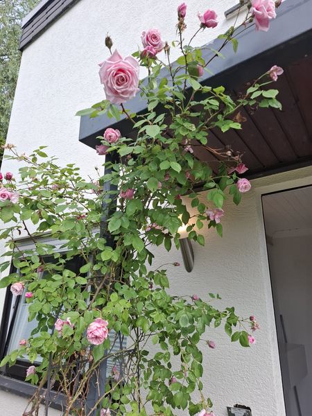 Schöne Wohnung mit Terasse und TG Stellplatz